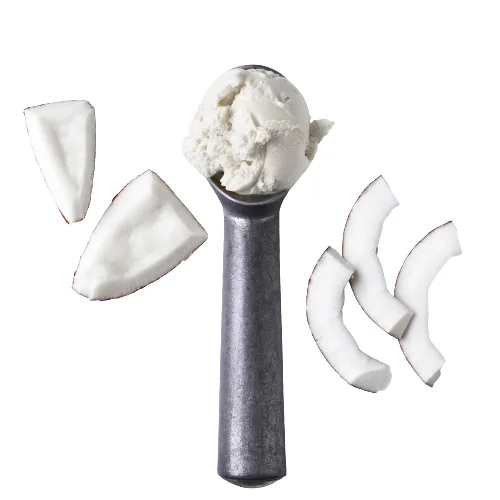 LATTE DI COCCO - Kokosnuss Esipulver Speedy