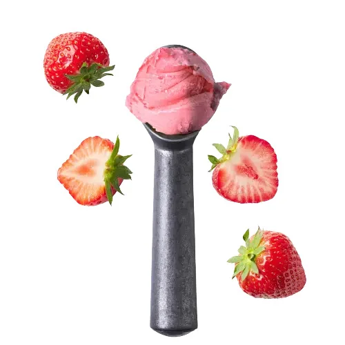 Speedy FRAGOLA PZ - Erdbeere Eispulver Speedy Vegan