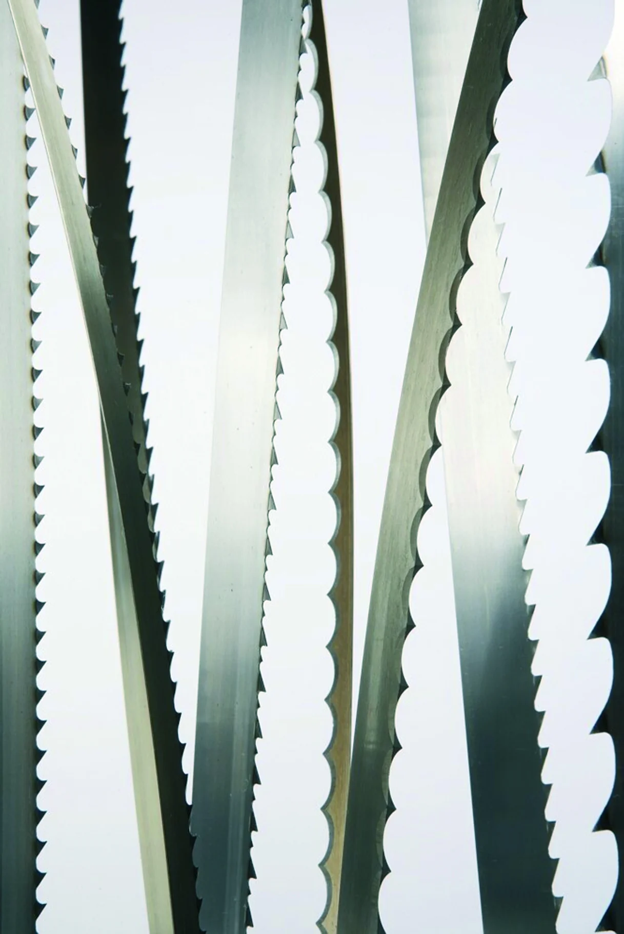 Bandsägeblätter Supra 2490 x 16 x 0,50 