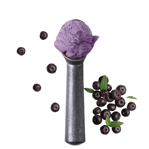 CASSIS E KARKADE CON PEZZI - mit Stücken Eispulver Speedy Vegan
